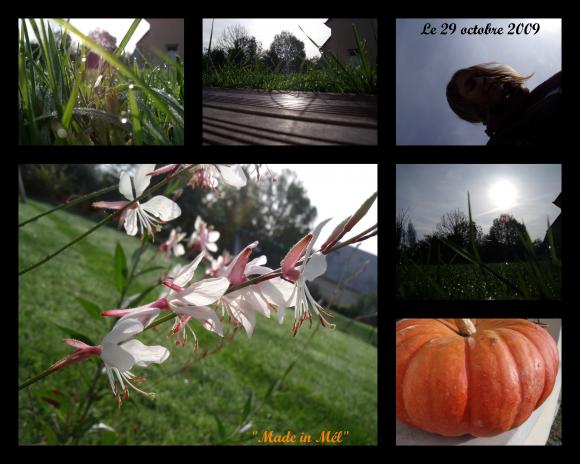 http://ma-vie-en-couleur.cowblog.fr/images/montages/automnerosee.jpg